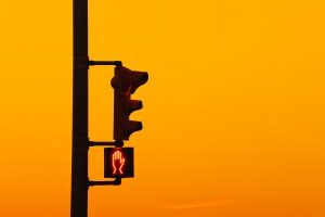 Nine vehicle fatalities in Essex County